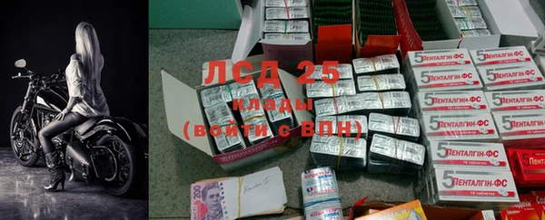 прущие грибы Карпинск