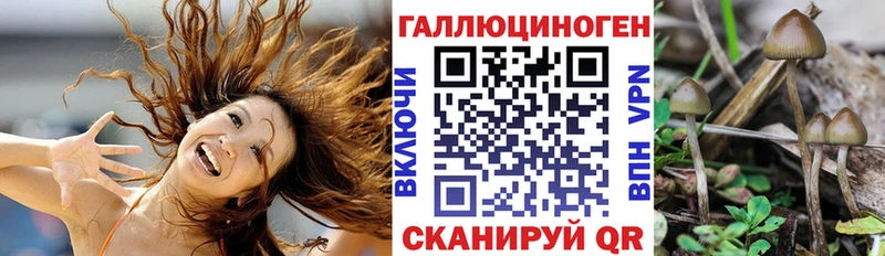 Галлюциногенные грибы прущие грибы  сколько стоит  Кириллов 